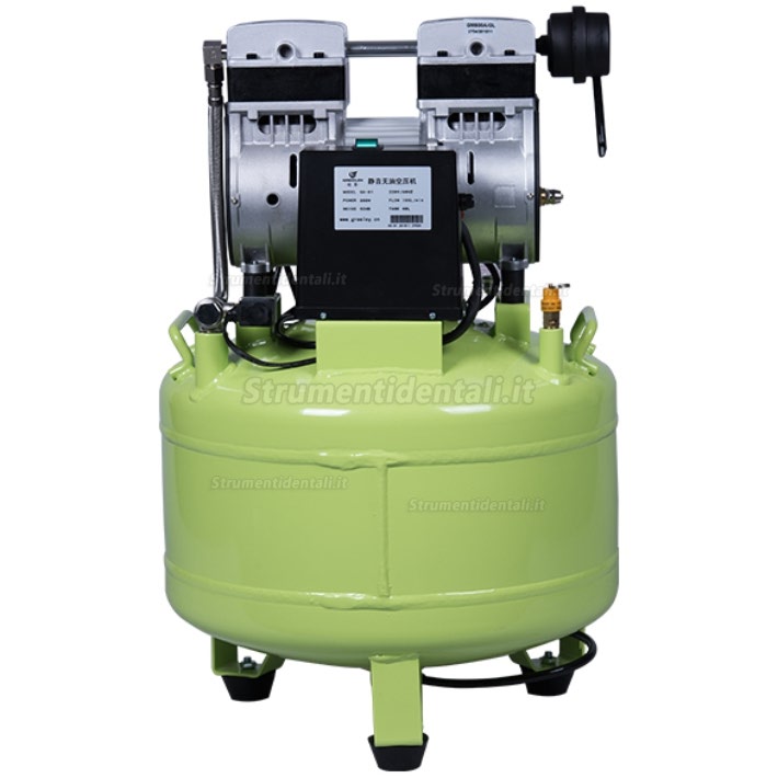 Greeloy® GA-81 40 litri compressore silenziato dentista senza olio 800w